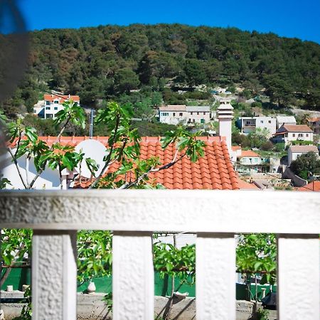 Dalmatian Stone House Villa Pucisca Kültér fotó